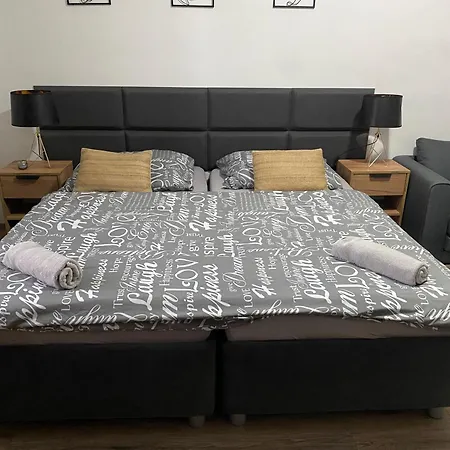 Cerna Ruze - 4 *